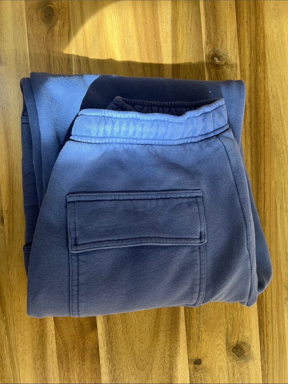 Aritzia Blue Purple Track Joggers